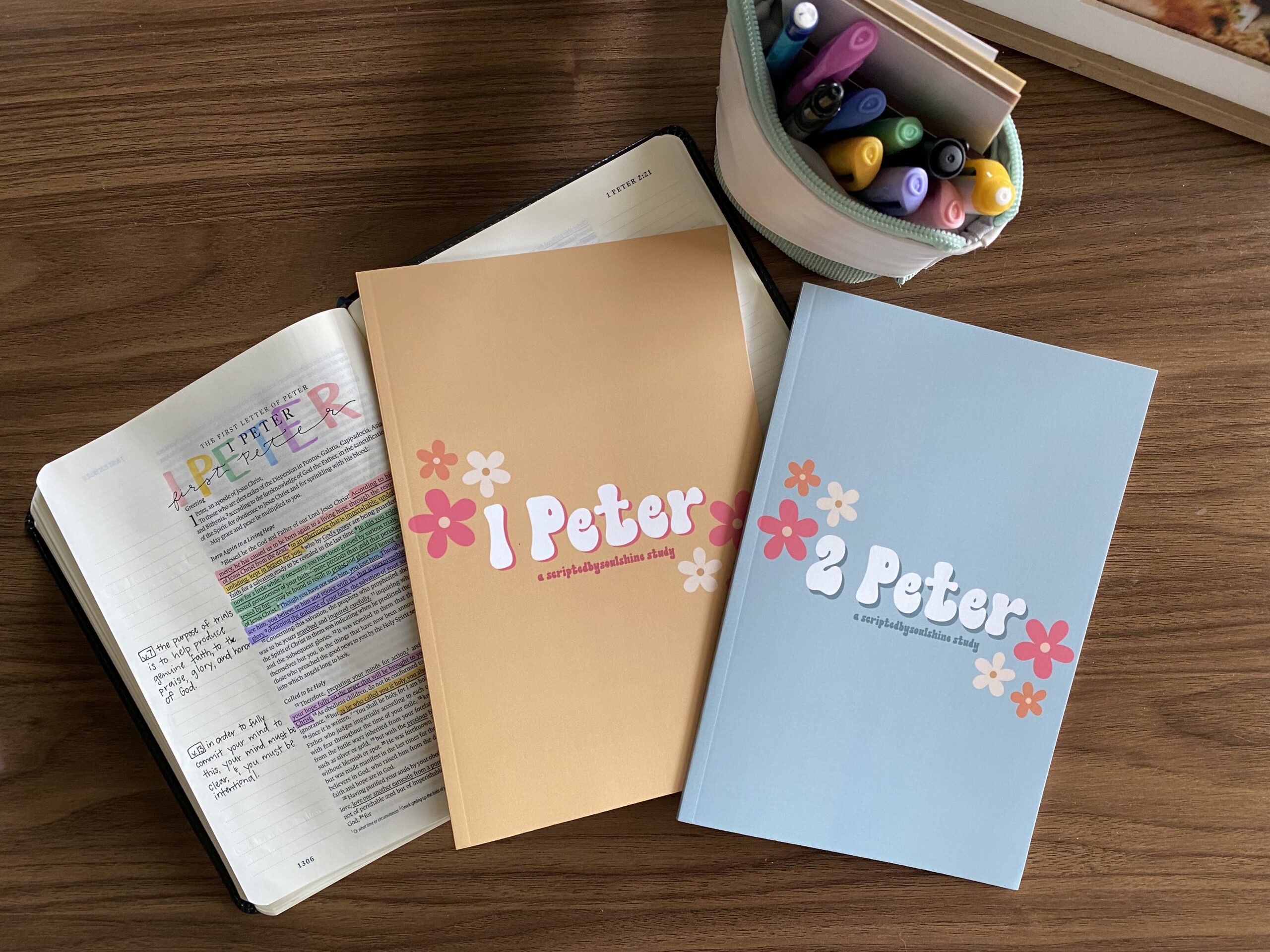 1 & 2 Peter Bible study books BUNDLE | 30 days