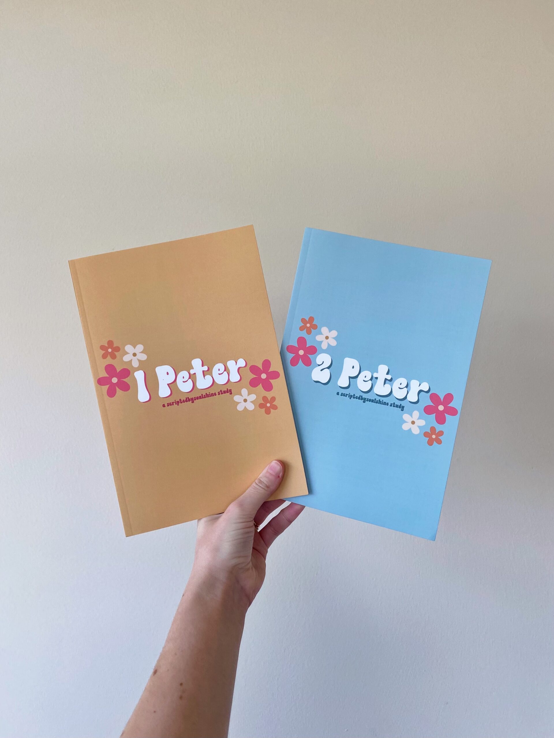 1 & 2 Peter Bible study books BUNDLE | 30 days - Image 2