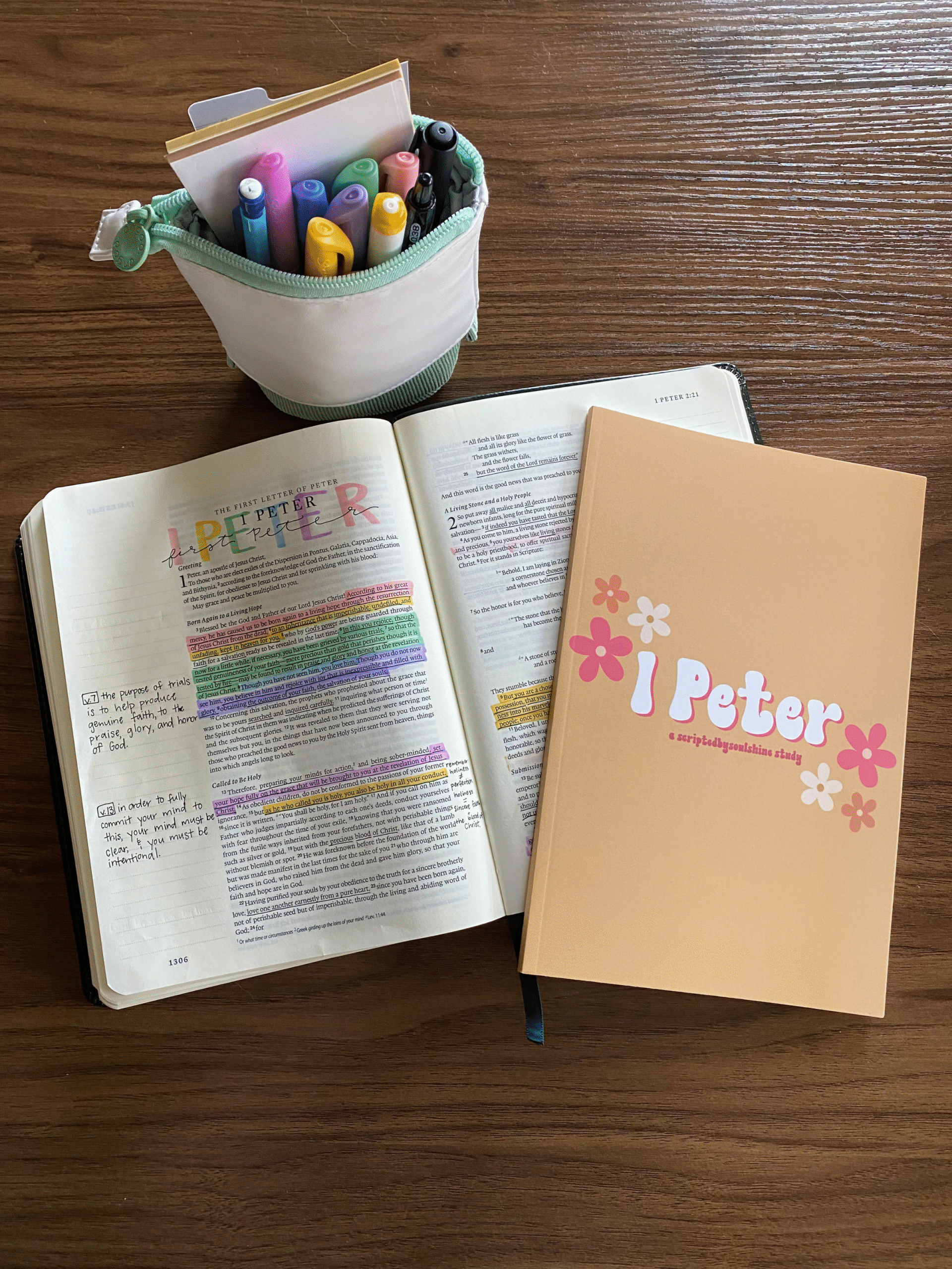 the book of 1 Peter | Bible study book | 20 days