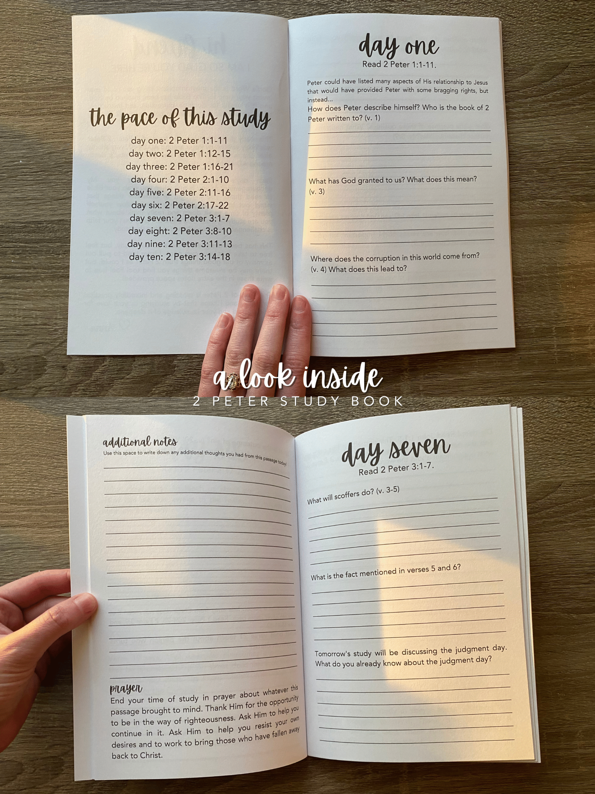 the book of 2 Peter | Bible study book | 10 days - Image 2